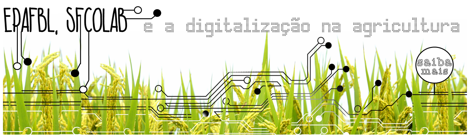 EPAFBL, SFCOLAB e a digitalização na agricultura