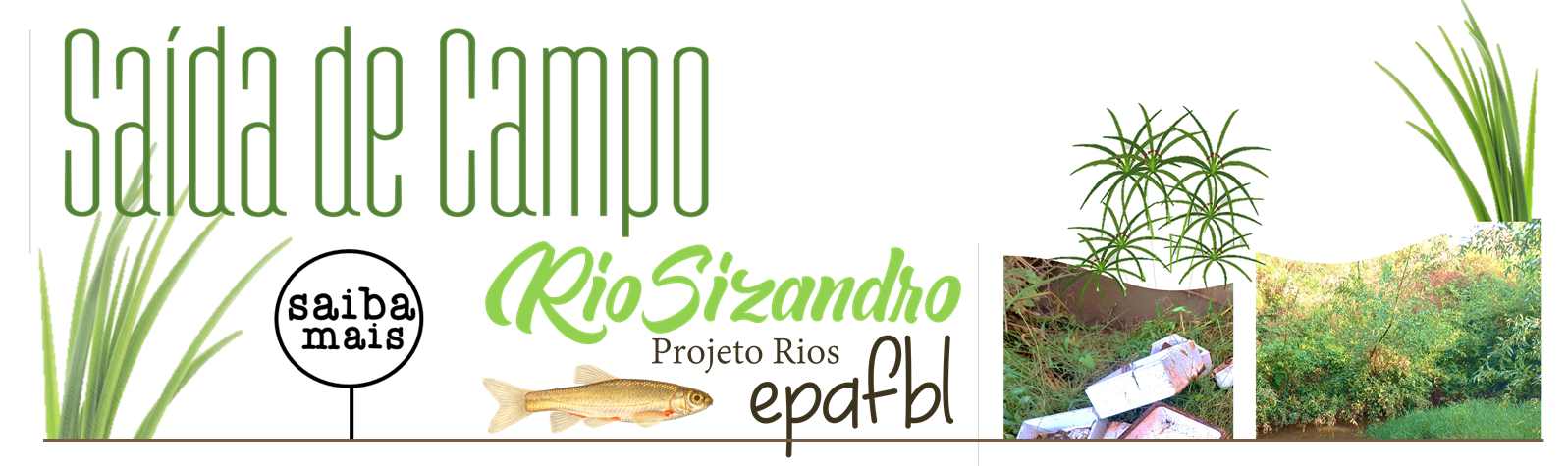 Saída de Campo - Projeto Rios