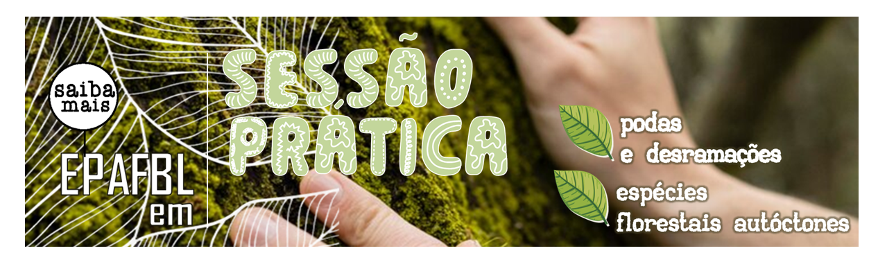 sessão prática - Florestal